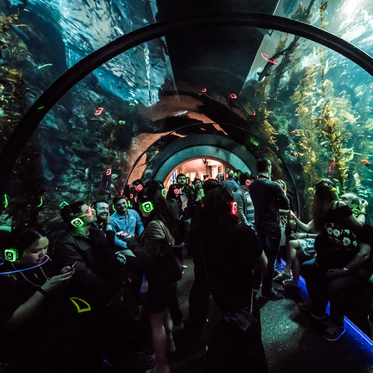 Quiet Events Silent Disco headphones for museums. A group of people underneath a tunnel at an aquarium wearing headphones.